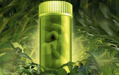 Как беречь свое здоровье в летний период?