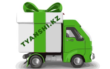 Бесплатная доставка по Казахстану