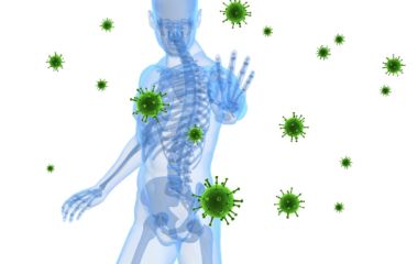 Сироп из фруктозанов - на страже вашего иммунитета!