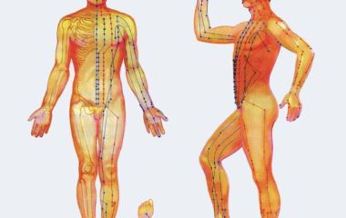 Энергитические меридианы человека