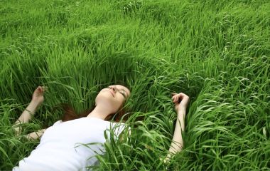 Программа восстановления организма и стойкого иммунитета от аллергии Программа восстановления организма и стойкого иммунитета от аллергии