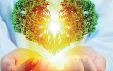 Профилактика сердечно-сосудистых заболеваний