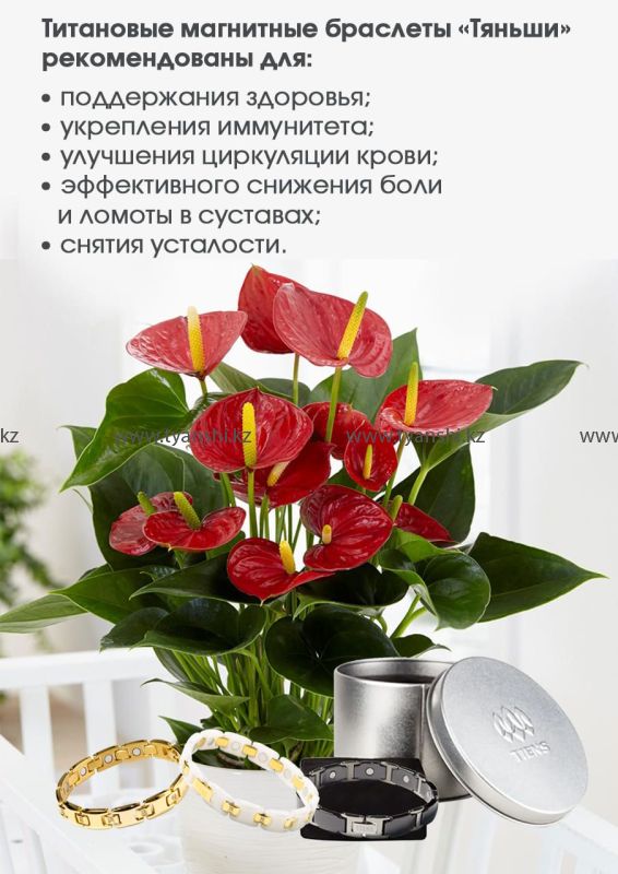 Титановый магнитный браслет "Тяньши"