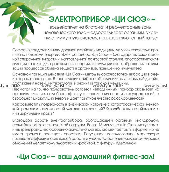 Электроприбор Tiens "Ци Сюэ"